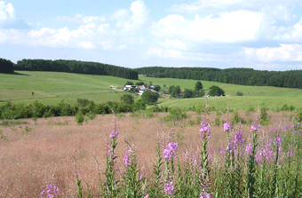 Das Foto zeigt eine Oberbergische Landschaft bei der Ortschaft Grunewald (Gemeinde Marienheide)